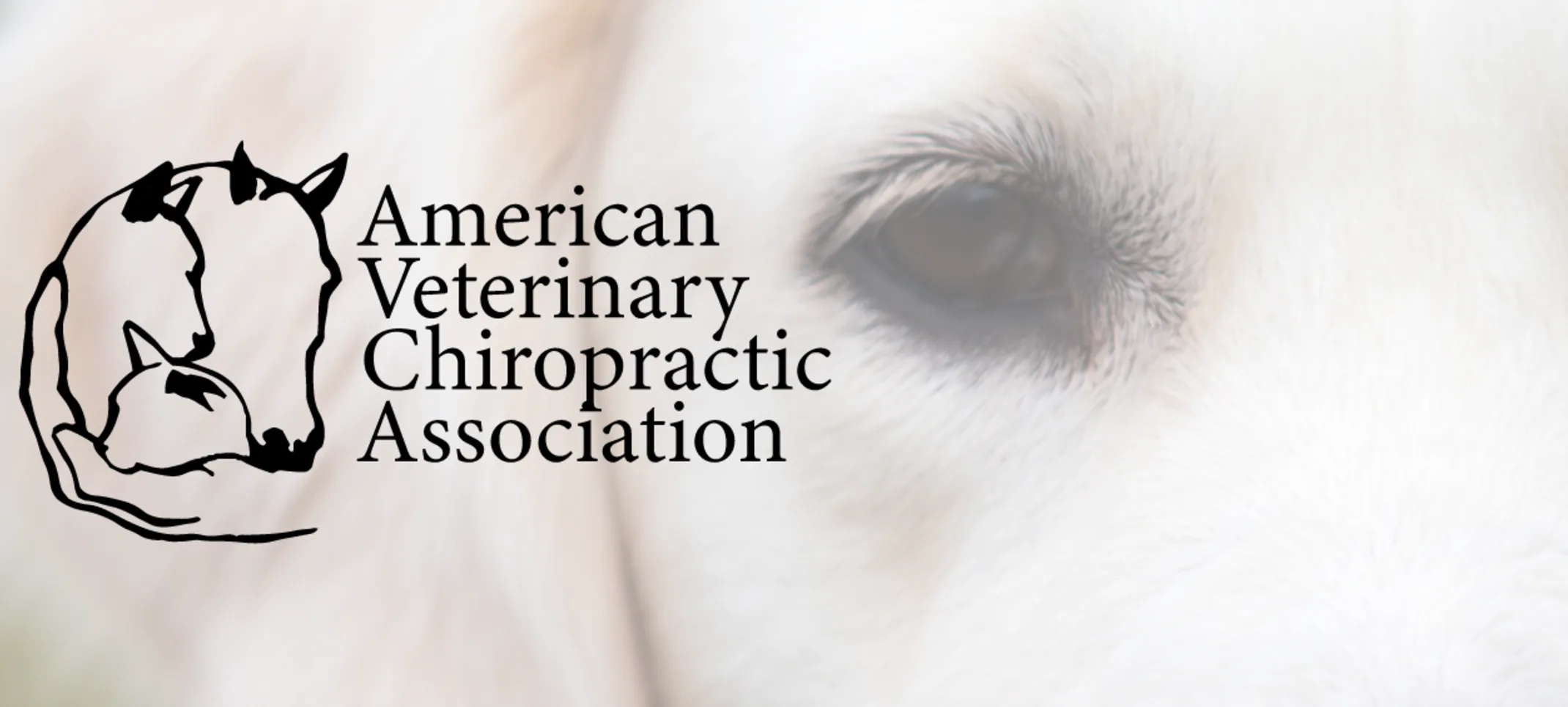 American Veterinary Chiropractic Association